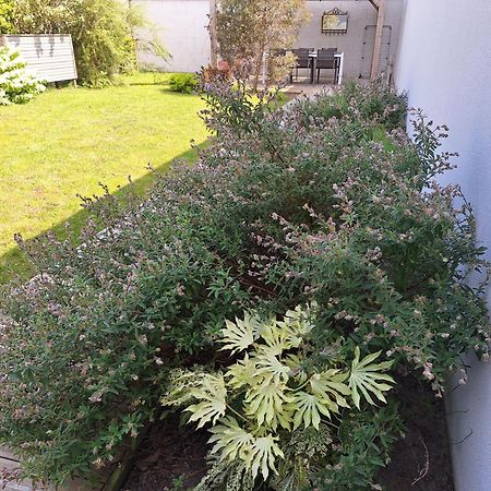 Planchesdisa Villa Saint-Pair-sur-Mer Ngoại thất bức ảnh